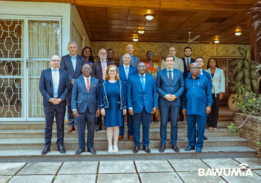Mahamudu Bawumia